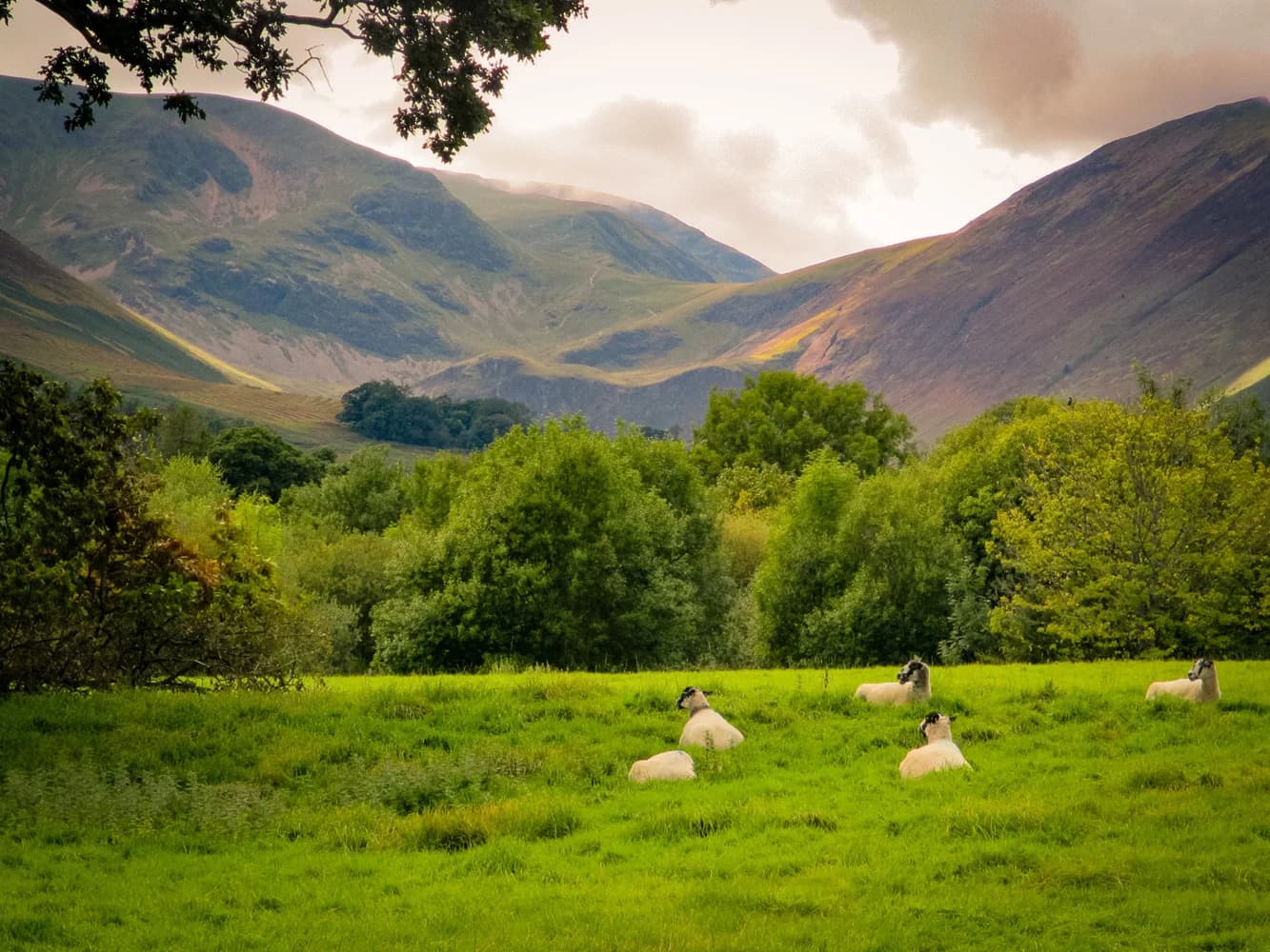 Φτιαγμένο στο Lake District, με αγάπη για κάθε οικογένεια